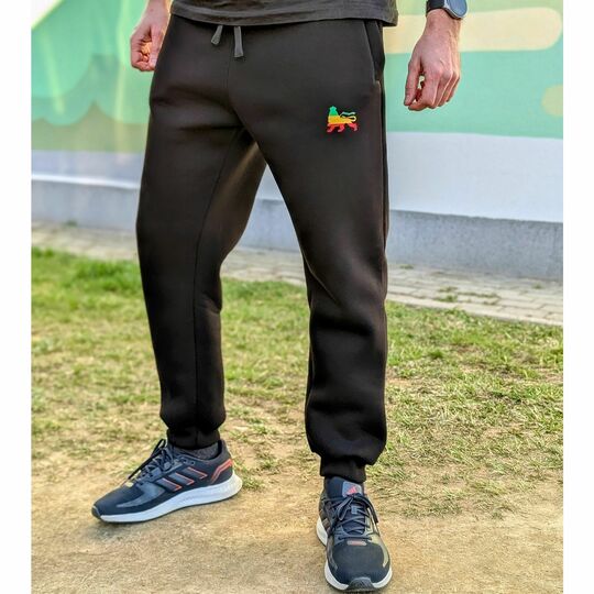 Tepláky typu jogger Lionof Judah | čierne